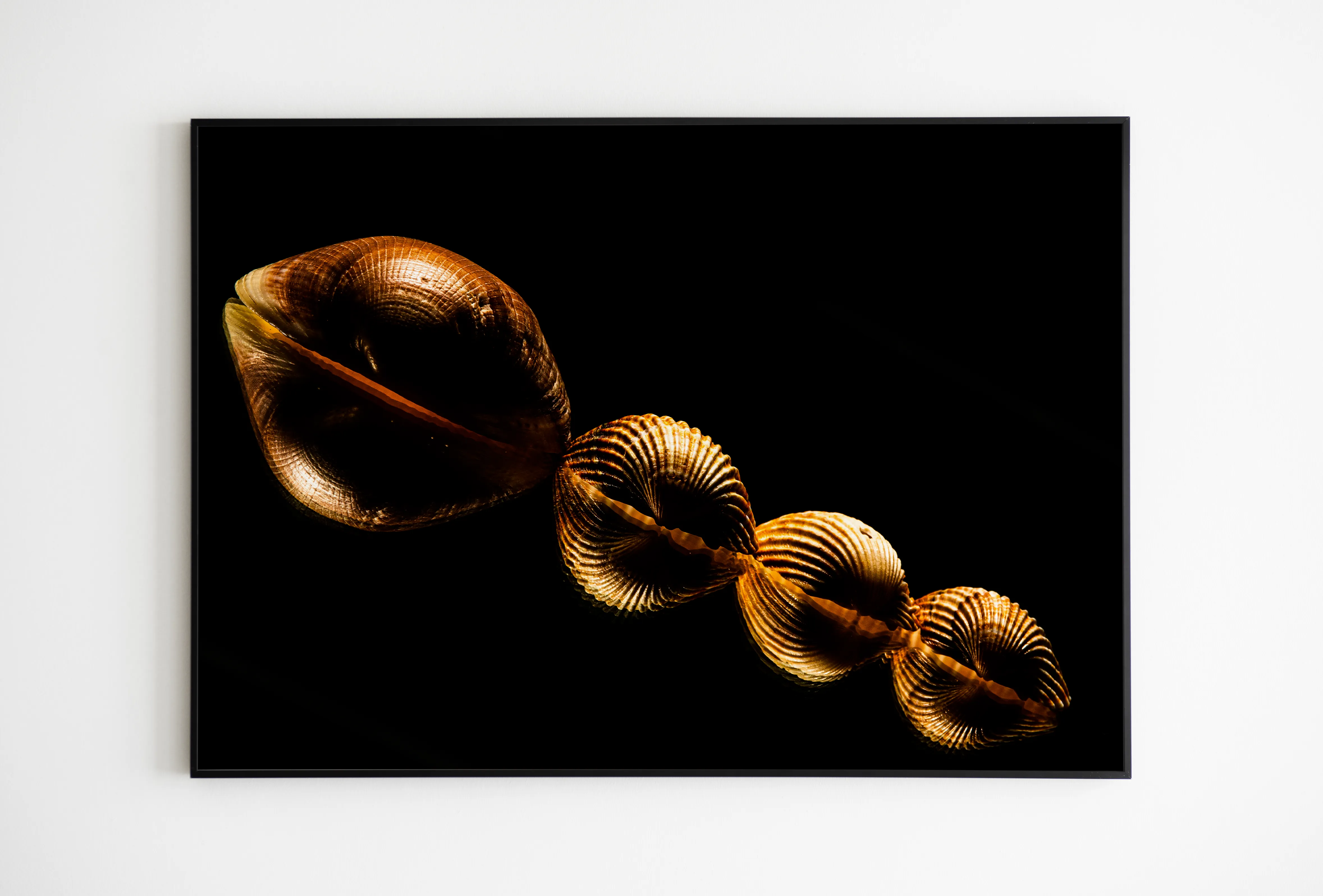 Fotografia ispirata allo stile fotografico di Edward Weston