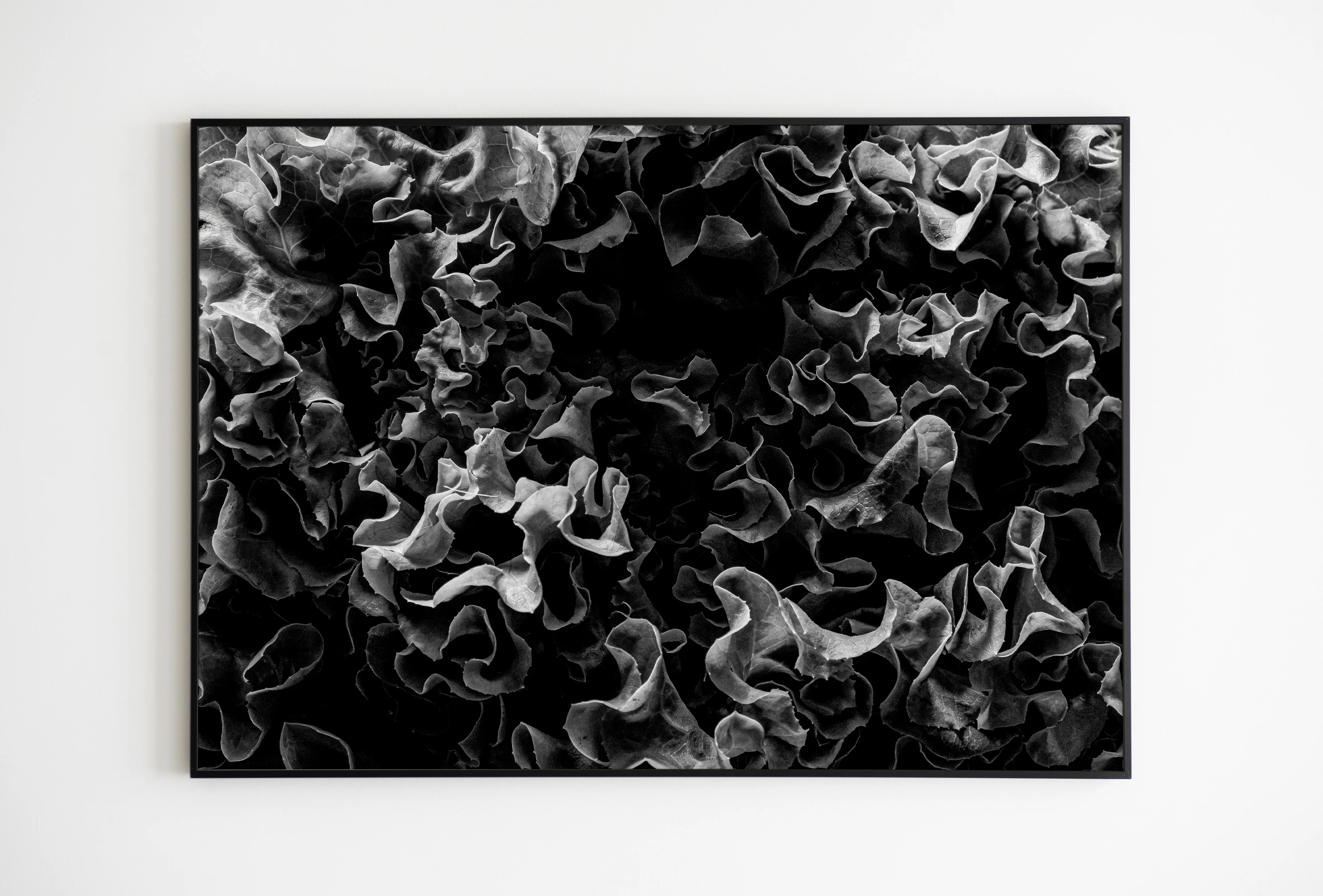 Fotografia ispirata allo stile fotografico di Edward Weston