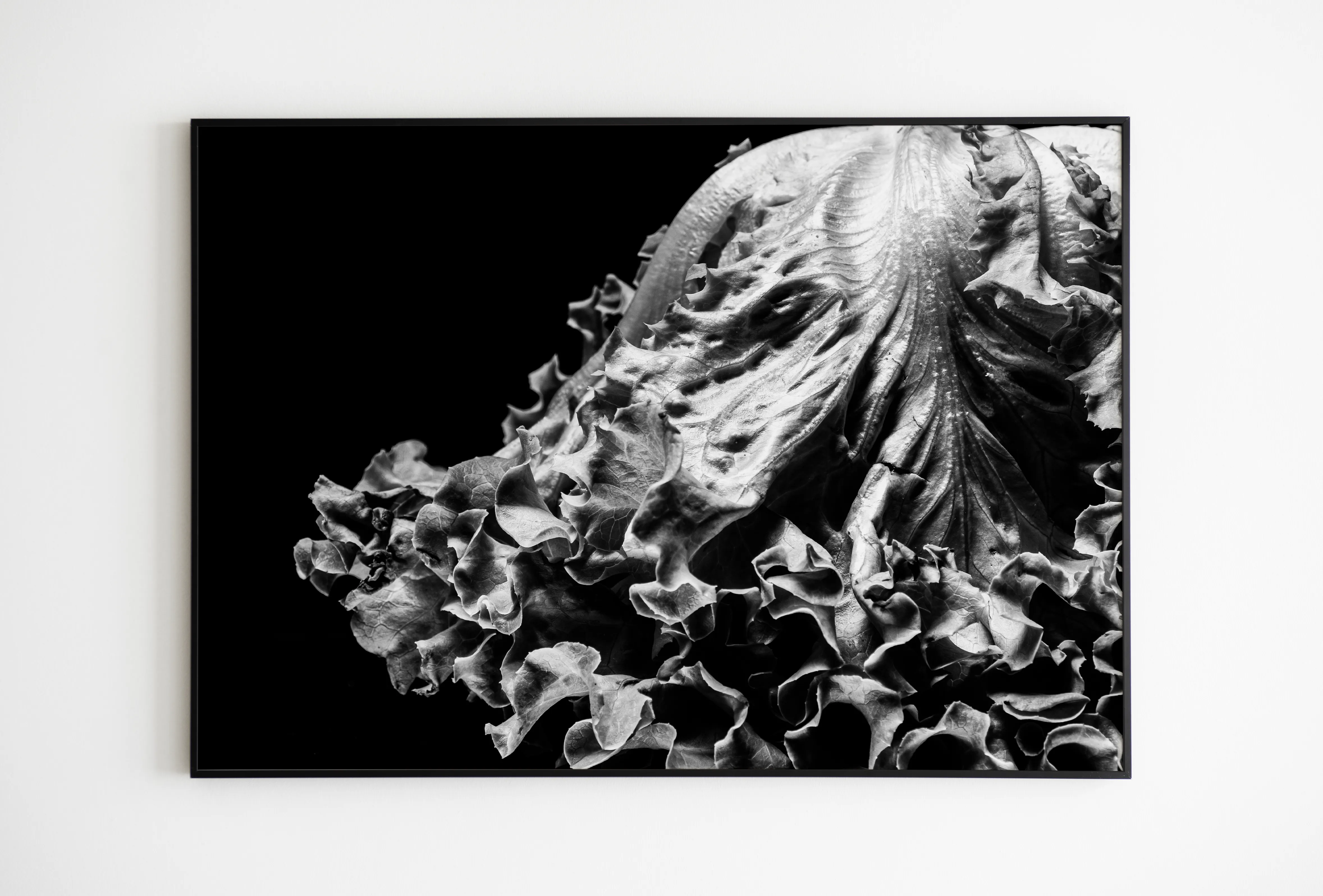 Fotografia ispirata allo stile fotografico di Edward Weston
