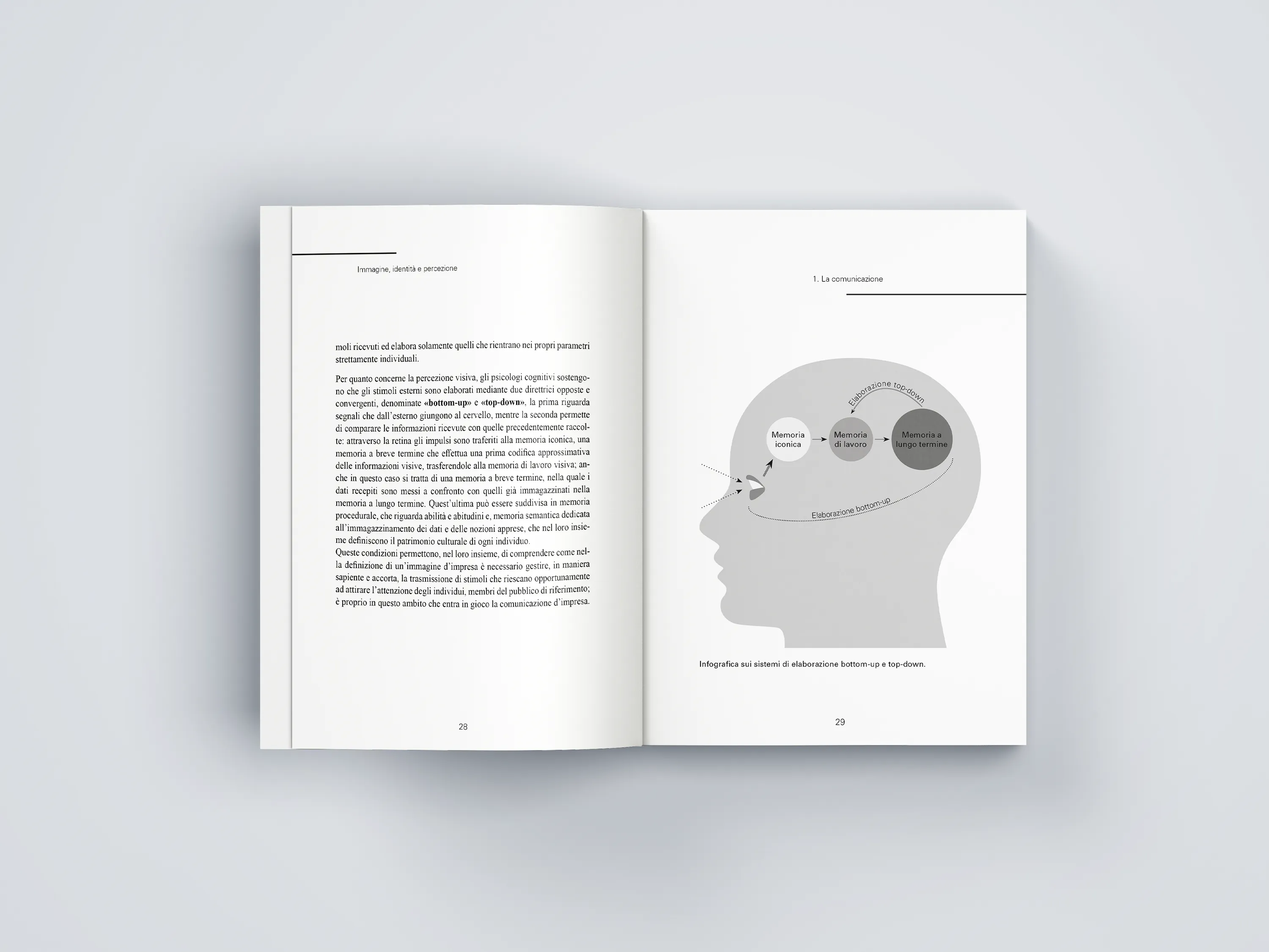 Pagine interne elaborato
