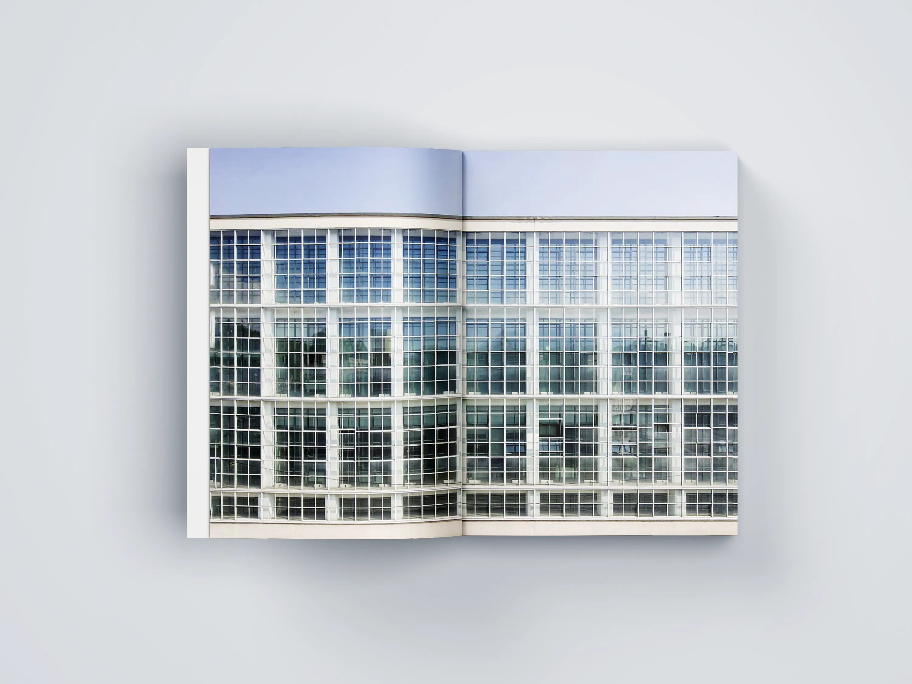 Pagine interne elaborato