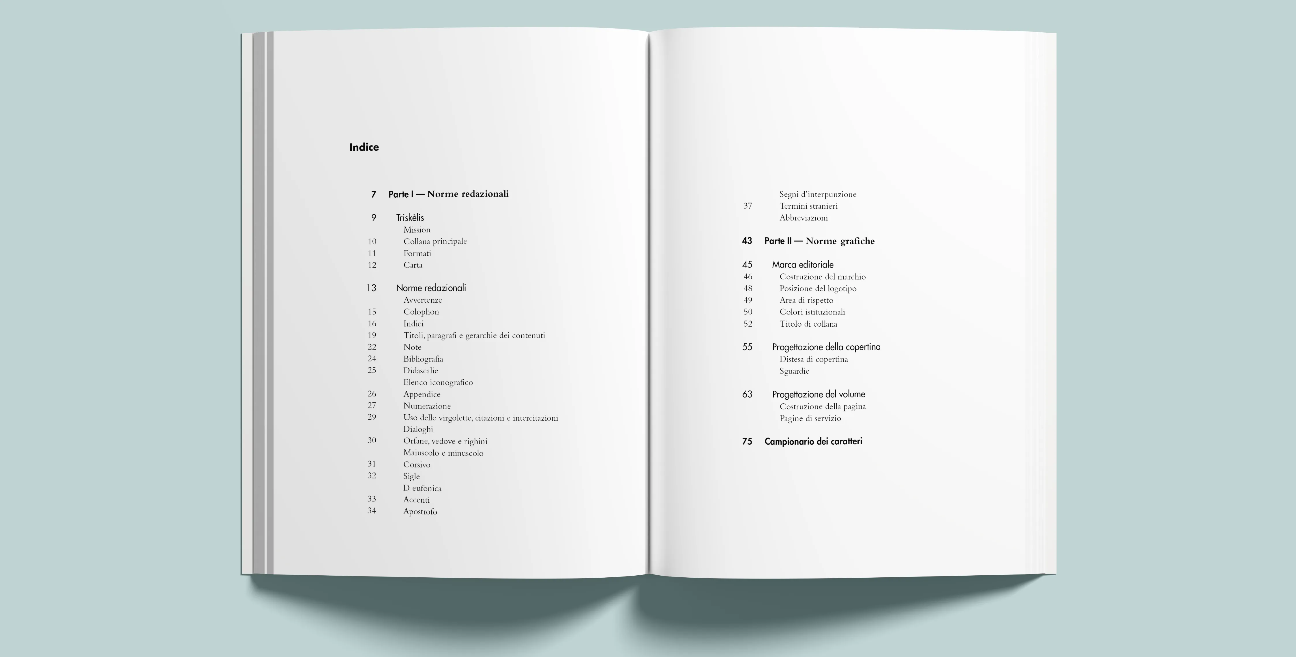 Indice del manuale