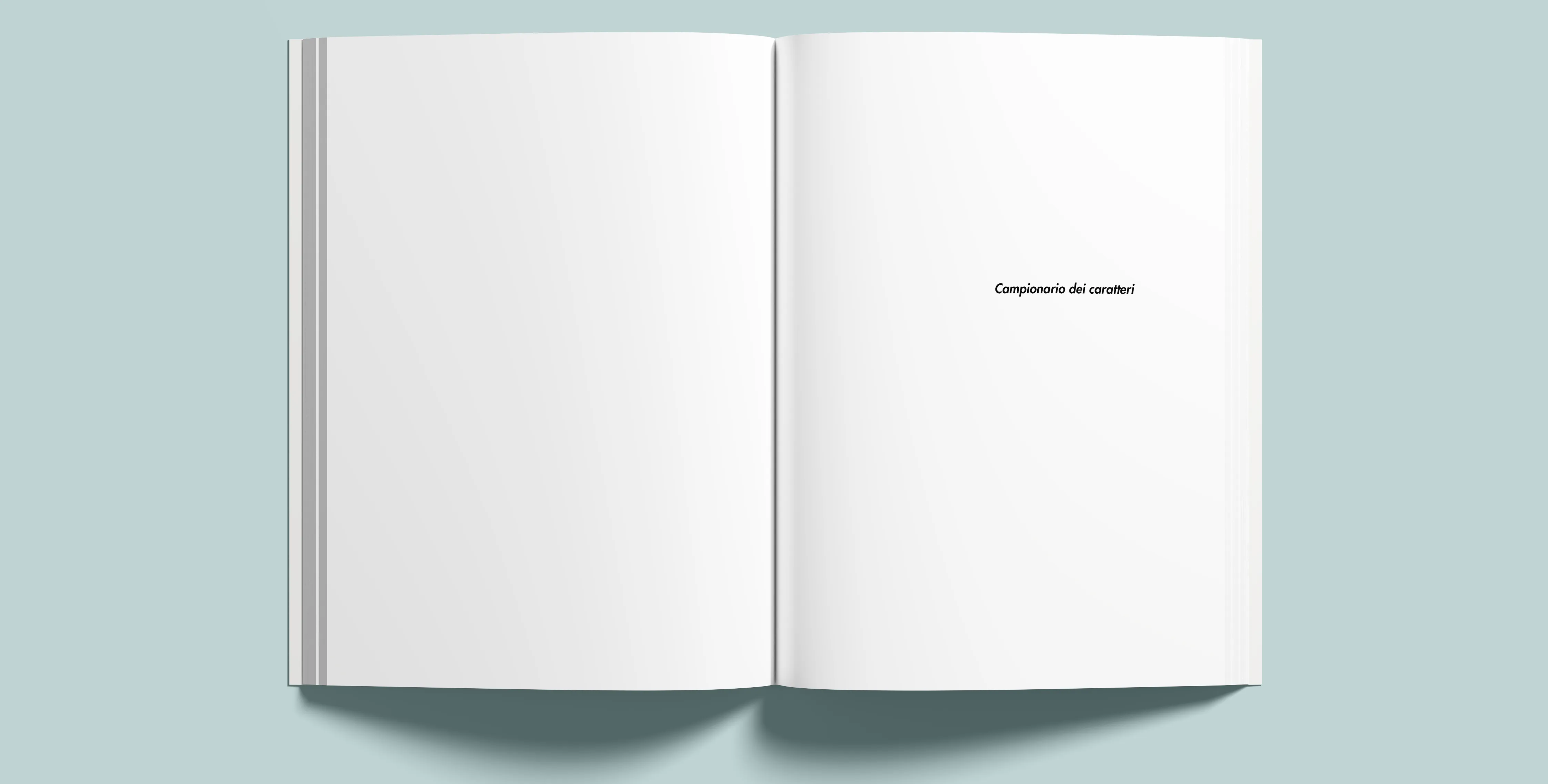 Pagina interna del manuale